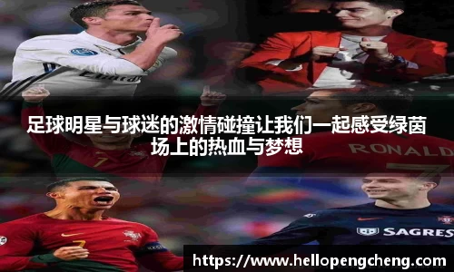 足球明星与球迷的激情碰撞让我们一起感受绿茵场上的热血与梦想