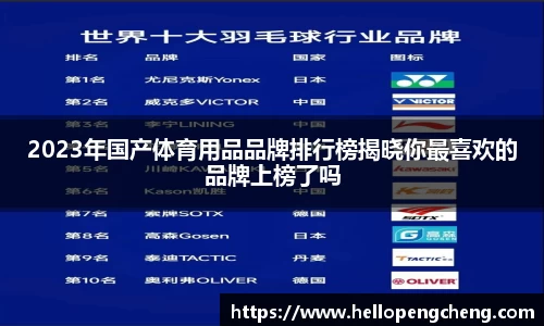 2023年国产体育用品品牌排行榜揭晓你最喜欢的品牌上榜了吗